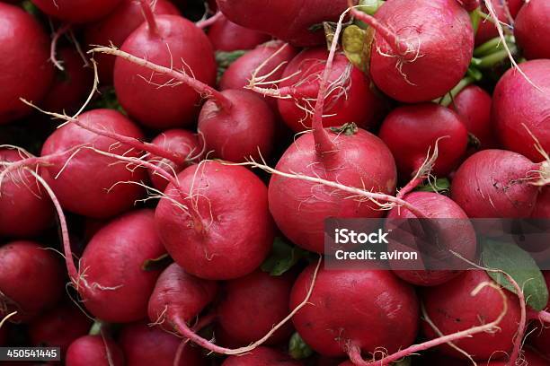 Radish Stock Photo - Download Image Now - Crucifers, Farmer, Food