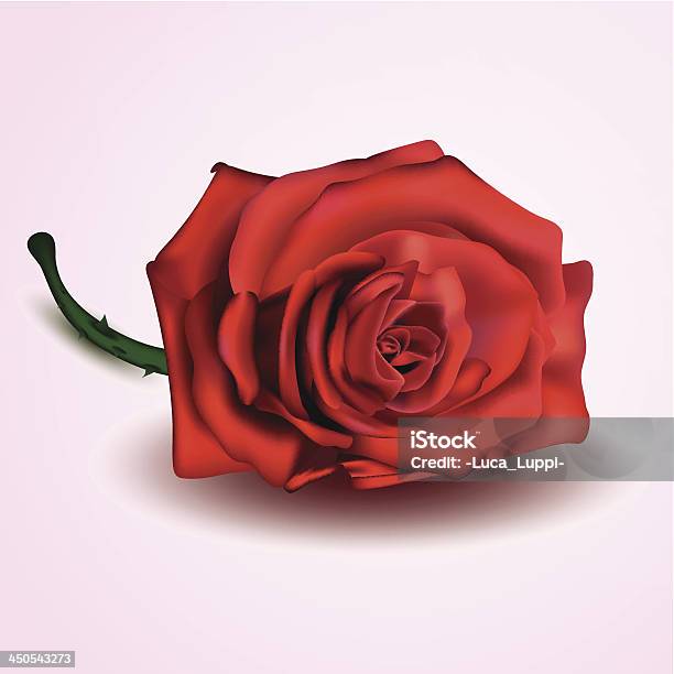 Ilustración de Rojo Rosa Aislado En Blanco Y Fondo Rosa y más Vectores Libres de Derechos de Amor - Sentimiento - Amor - Sentimiento, Belleza de la naturaleza, Blanco - Color