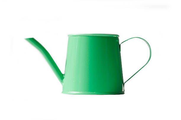 istock Green watering can mini isolated on white background 450544459