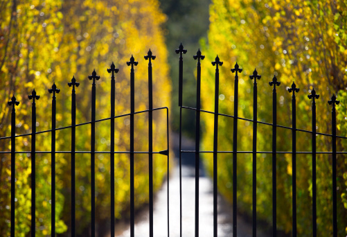 A closed wrought iron gate protects the entrance to an exclusive estate.