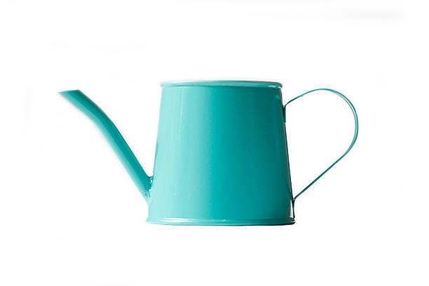 istock Cyan watering can mini isolated on white background 450547847