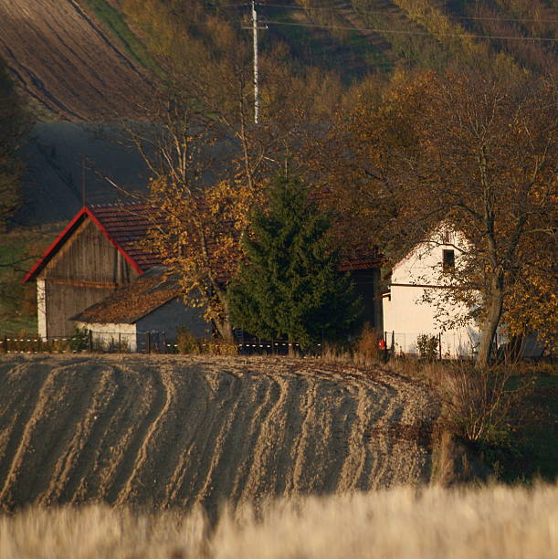 istock Autumn landscape from Ponidzia 450551019