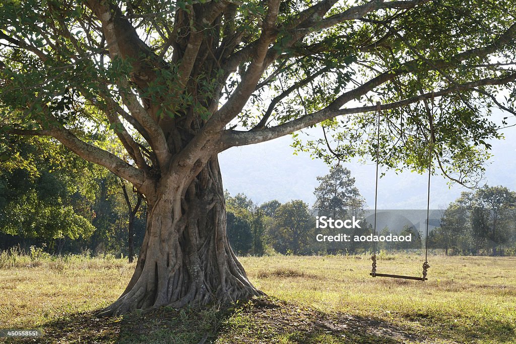 swing em árvore, ninguém - Foto de stock de Balanço de Corda royalty-free