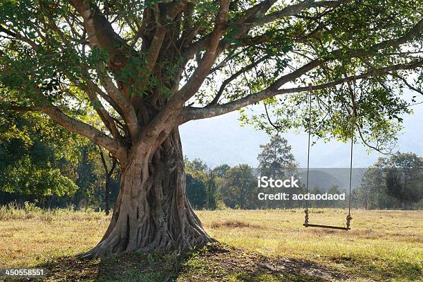 Foto de Swing Em Árvore Ninguém e mais fotos de stock de Balanço de Corda - Balanço de Corda, Árvore, Abandonado