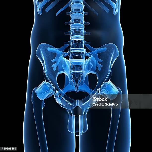 Esqueleto De Cadera Foto de stock y más banco de imágenes de Anatomía - Anatomía, Asistencia sanitaria y medicina, Azul