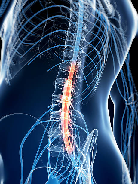 istock pain in the spinal cord 450569595