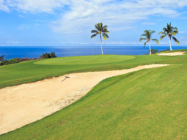 istock Take your time and enjoy the view on this hole 450579387
