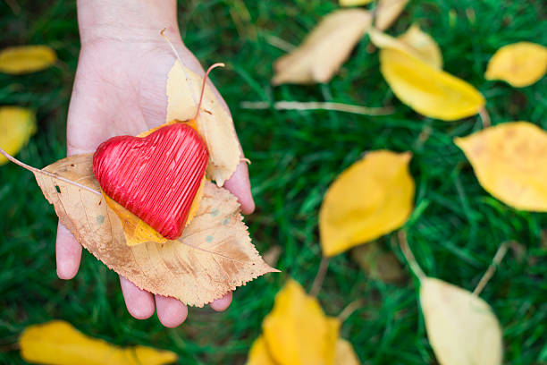 istock Hand holding Red heart and autumn leafs 450582493