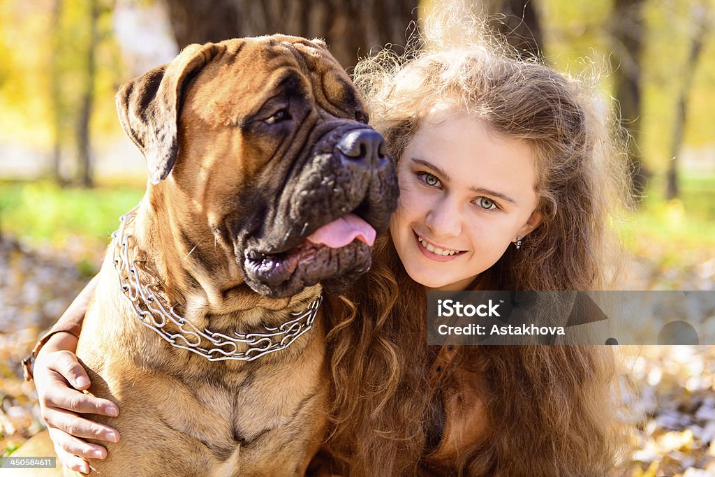 teen Mädchen mit Hund - Lizenzfrei Bullmastiff Stock-Foto