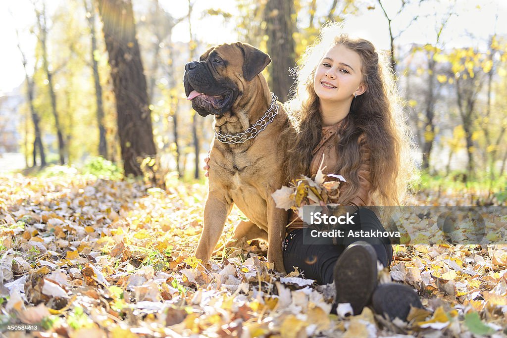 teen fille et chien - Photo de Adolescent libre de droits