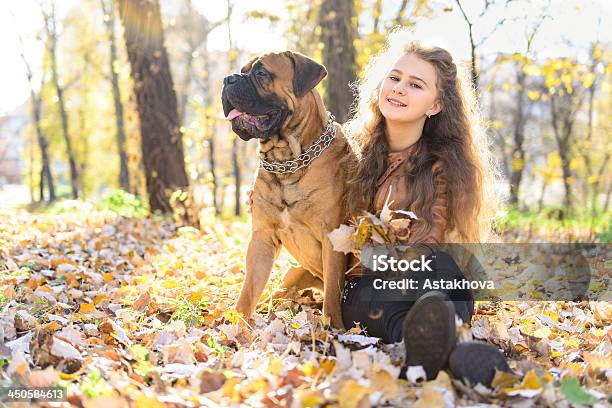 Photo libre de droit de Teen Fille Et Chien banque d'images et plus d'images libres de droit de Adolescent - Adolescent, Adulte, Amitié