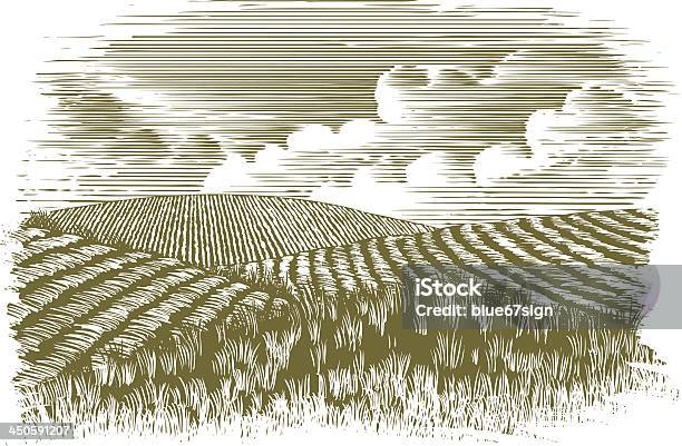 Woodcut Farm Fields Stock Illustration - Download Image Now - Woodcut, Farm, Engraved Image