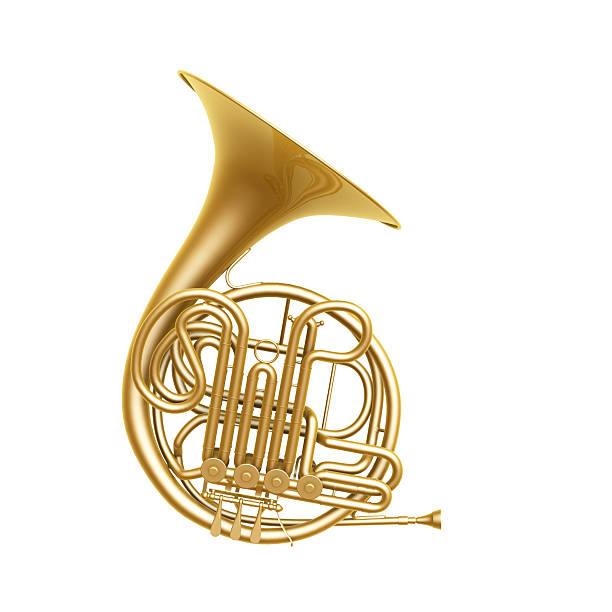 french horn golden french horn isolated on white background wind instrument stock pictures, royalty-free photos & images