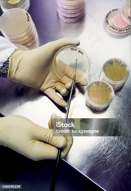 Labor Stockfoto und mehr Bilder von Agargel - Agargel, Analysieren, Arbeit und Beschäftigung