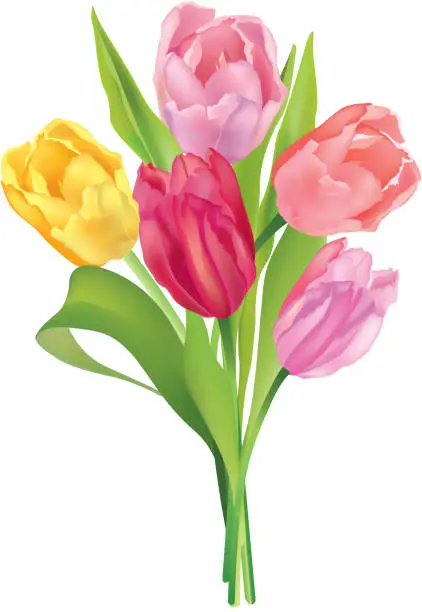 Vector illustration of Flowers bouquet isolated