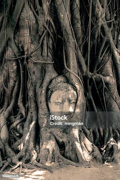 Buddha Head Surrounded By Roots Stock Photo - Download Image Now - Ancient Civilization, Antique, Armed Forces Rank