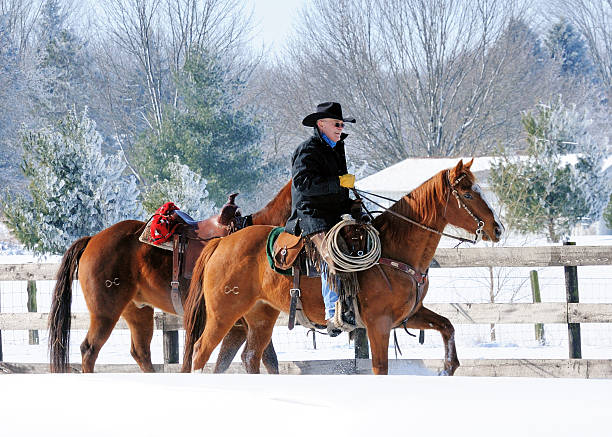 istock Cowboy in Deep Snow with Horses 450606569
