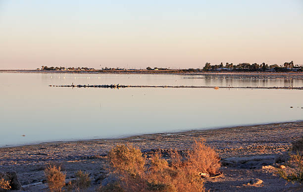 istock Birds And Homes On The Salton Sea 450606873