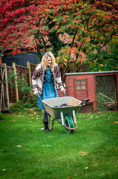 istock Young woman with wheelbarrow preparing for garden work (XIII) 450607225