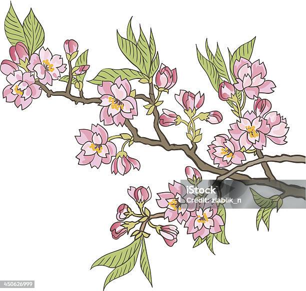 日本の桜の花 - アジア大陸のベクターアート素材や画像を多数ご用意 - アジア大陸, アジア文化, イラストレーション