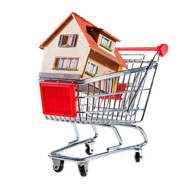 istock shopping cart and house 450630879