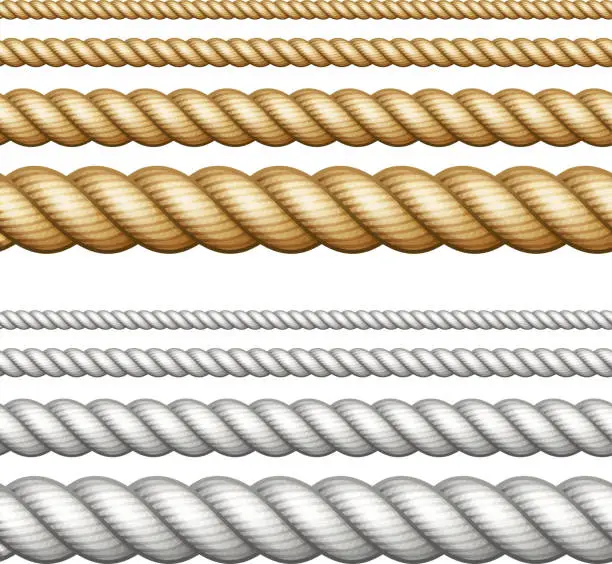 Vector illustration of Set of ropes on white