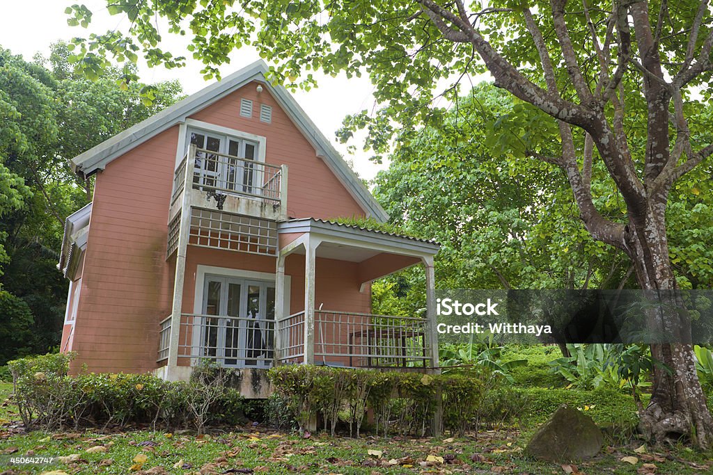 Orange house in forest Beautiful Orange house and big tree in forest Architecture Stock Photo