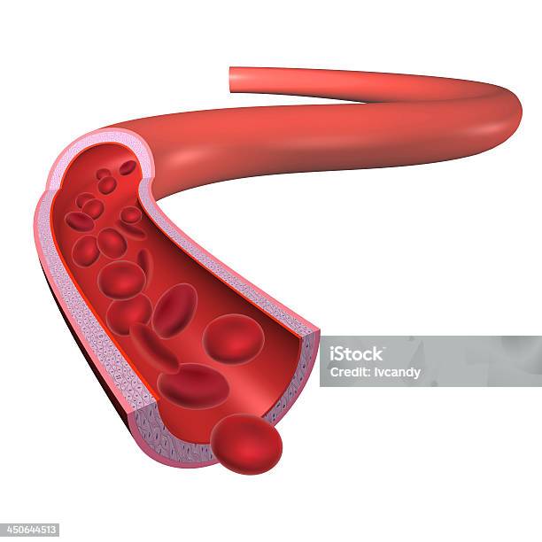 Naczynie Krwionośne - zdjęcia stockowe i więcej obrazów Naczynie krwionośne - Naczynie krwionośne, Erytrocyt, Trójwymiarowy