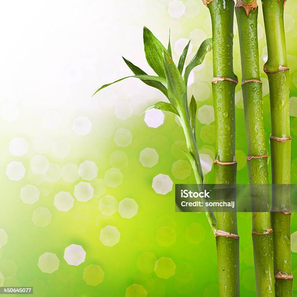 De Bambu - Fotografias de stock e mais imagens de Ao Ar Livre - Ao Ar Livre, Bambu - Família da relva, Cor verde