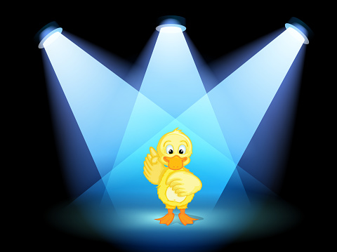duck with spotlights