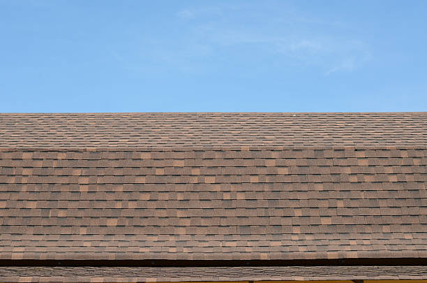 istock Roof tile in European style with blue sky 450648315