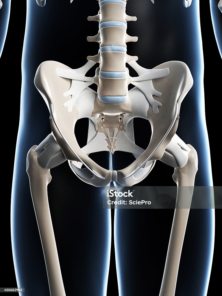 Despojada quadril - Foto de stock de Anatomia royalty-free