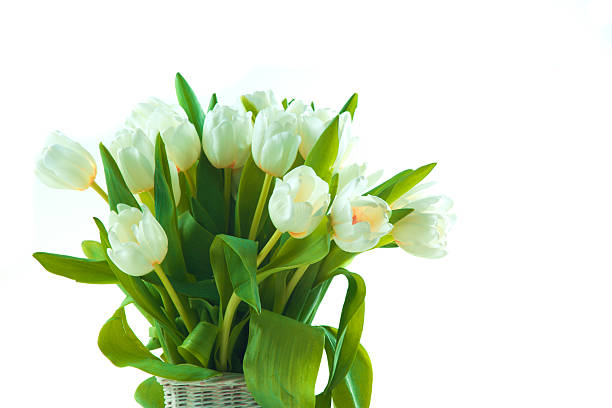 istock Beautiful tulips in basket 450653793