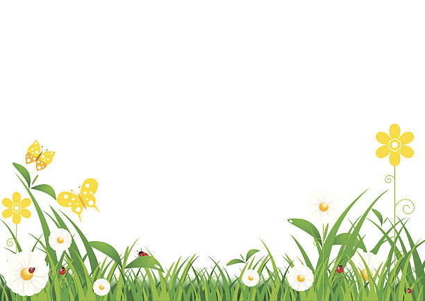 ilustrações de stock, clip art, desenhos animados e ícones de fundo de primavera - flower ladybug frame single flower