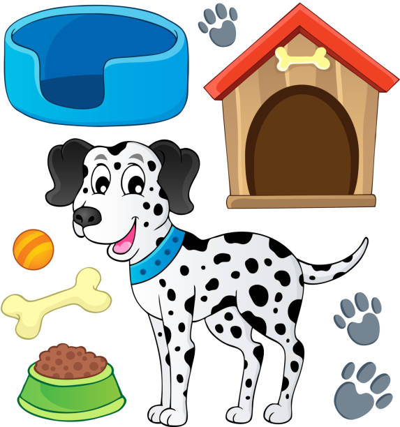 illustrazioni stock, clip art, cartoni animati e icone di tendenza di immagine con tema 7 cane - dog spotted purebred dog kennel