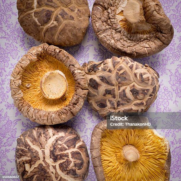 Frescas Cogumelos Na Cor Roxa - Fotografias de stock e mais imagens de Alimentação Saudável - Alimentação Saudável, Castanho, Cogumelo Comestível