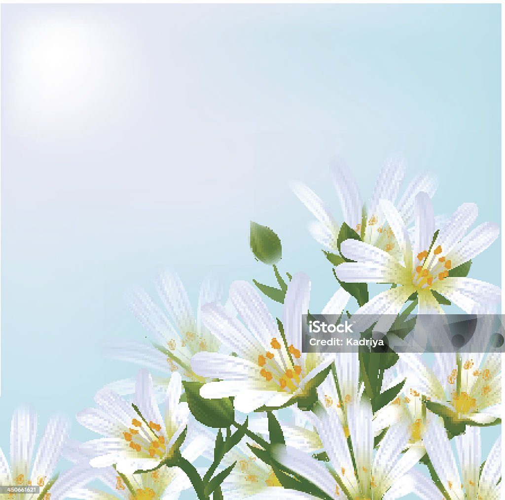 Floral Hintergrund. Daisies. - Lizenzfrei Baumblüte Vektorgrafik