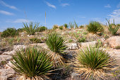 beeindruckende-malerische-landschaft-in-new-mexico.jpg?b=1&s=170x170&k=20&c=Zm_61UX0aANdgoYwm4Hars8yxk8vGSoWePyDJKBePyk=