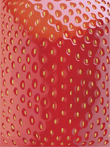 Vector illustration of strawberry's texture