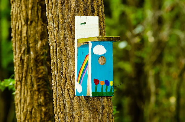 istock bird house with a rainbow colors 450662129
