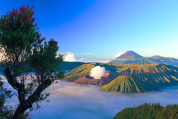 istock view of the volcano Bromo at sunrise 450662629