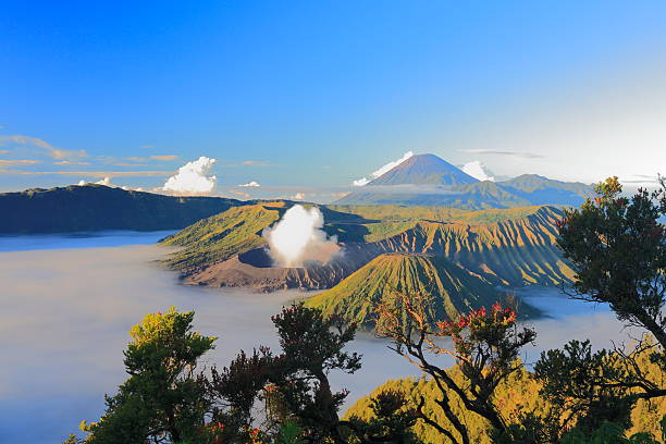 istock view of the volcano Bromo at sunrise 450662631