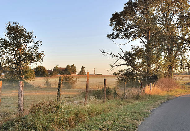 istock countryside landscape in autumn 450662713