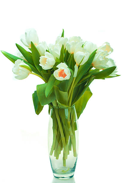 istock Beautiful tulips in glass vase 450663037