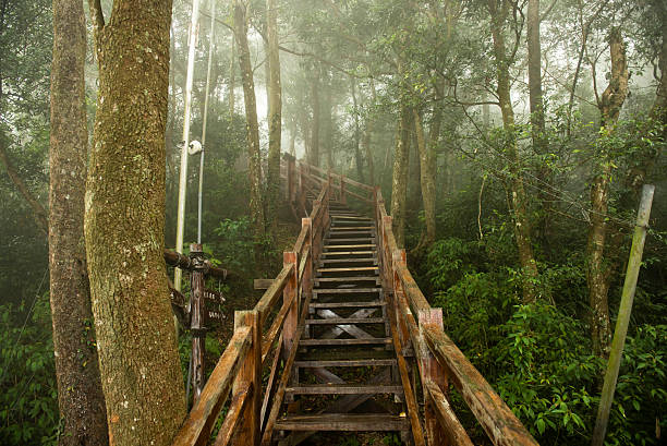 istock Wooden hiking trail 450663081