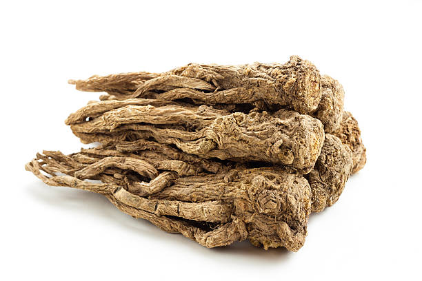 angelica sinensis （伝統的な中国医学まで） - angelica herb herbal medicine root ストックフォトと画像