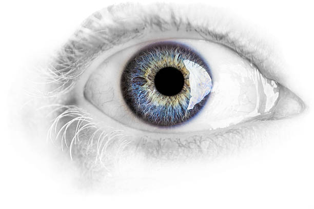 макро голубой глаз с много информации изолирован на белом - eyeball iris human eye macro стоковые фото и изображения