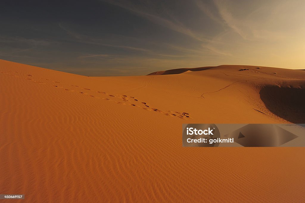 Deserts and Sand Dunes Landscape Exotic Endless Desert Landscape at Sunrise Backgrounds Stock Photo