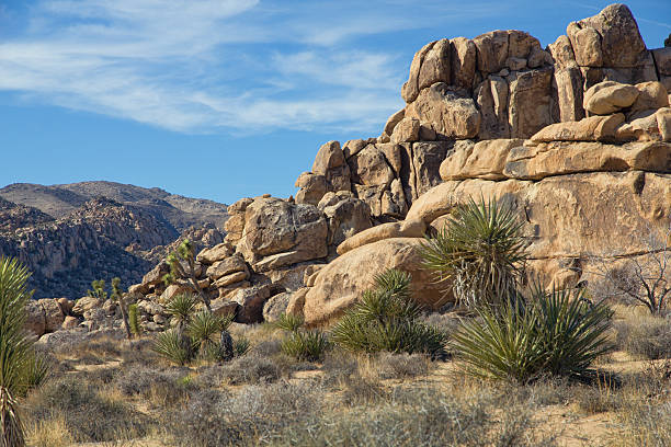 istock Horizontal landscape in Joshua Tree National Park 450671261