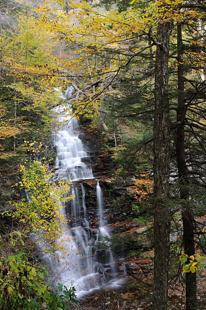 istock Waterfalls in Ricketts Glen State Park 450671401